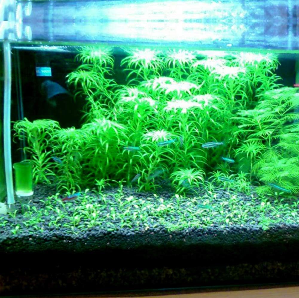 2 LB to Complete Freshwater Planted Aquarium Substrate | Aquatic plant cultivation medium