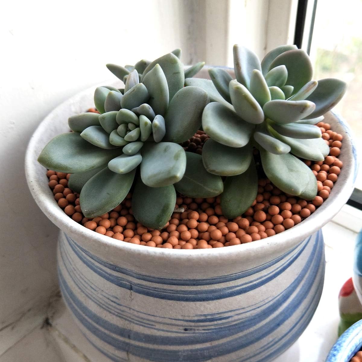 Clay Pebbles Gardening Ceramsite Orchid Hydroponic Grow Media Clay Rocks Drainage Water Purification Ceramsite Decor