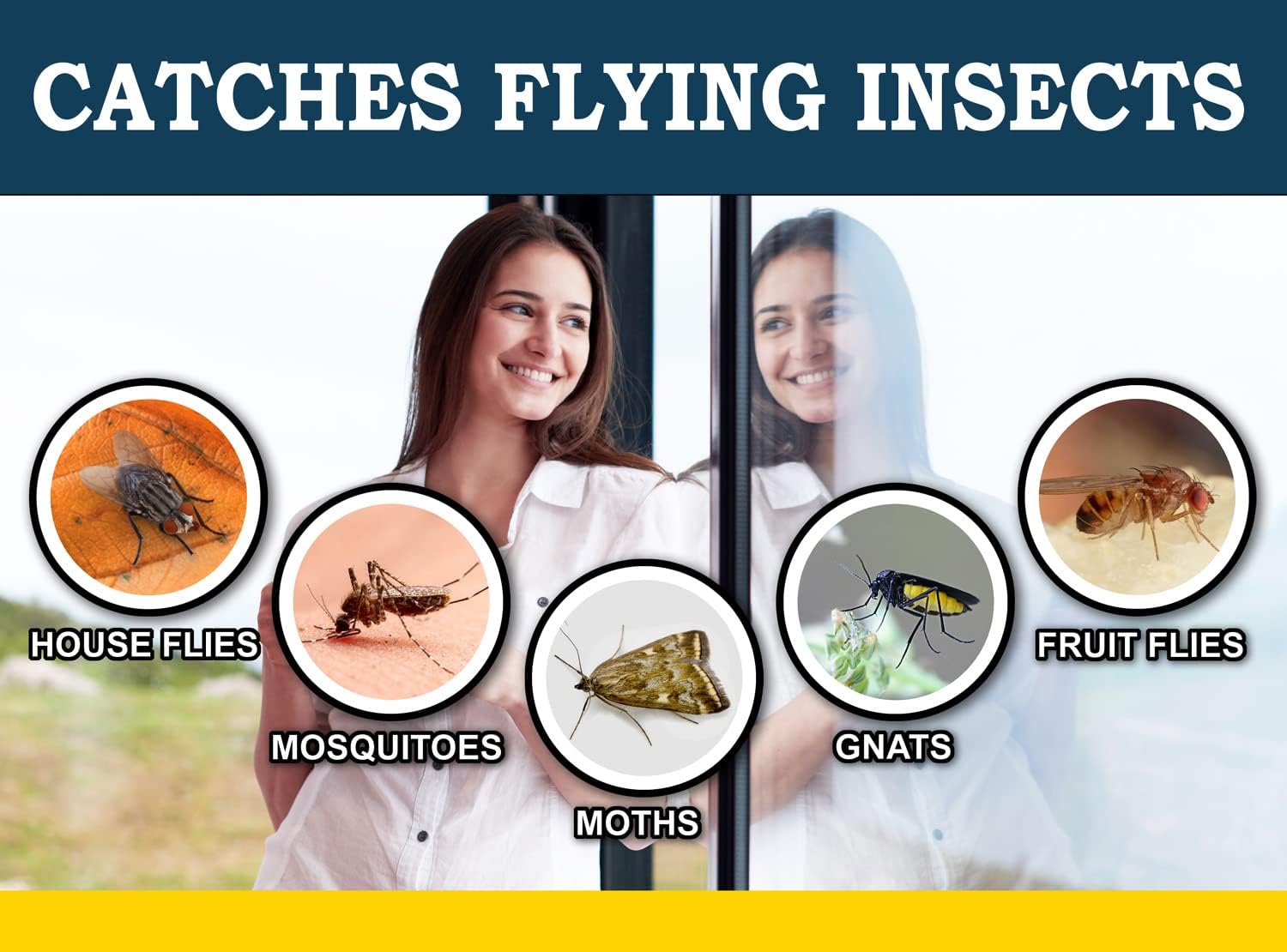 Window Fly Traps (24 XL Traps) Catch & Kill Houseflies, Flying Insects & Bugs. Non-Toxic Sticky Glue Traps Fly Killer