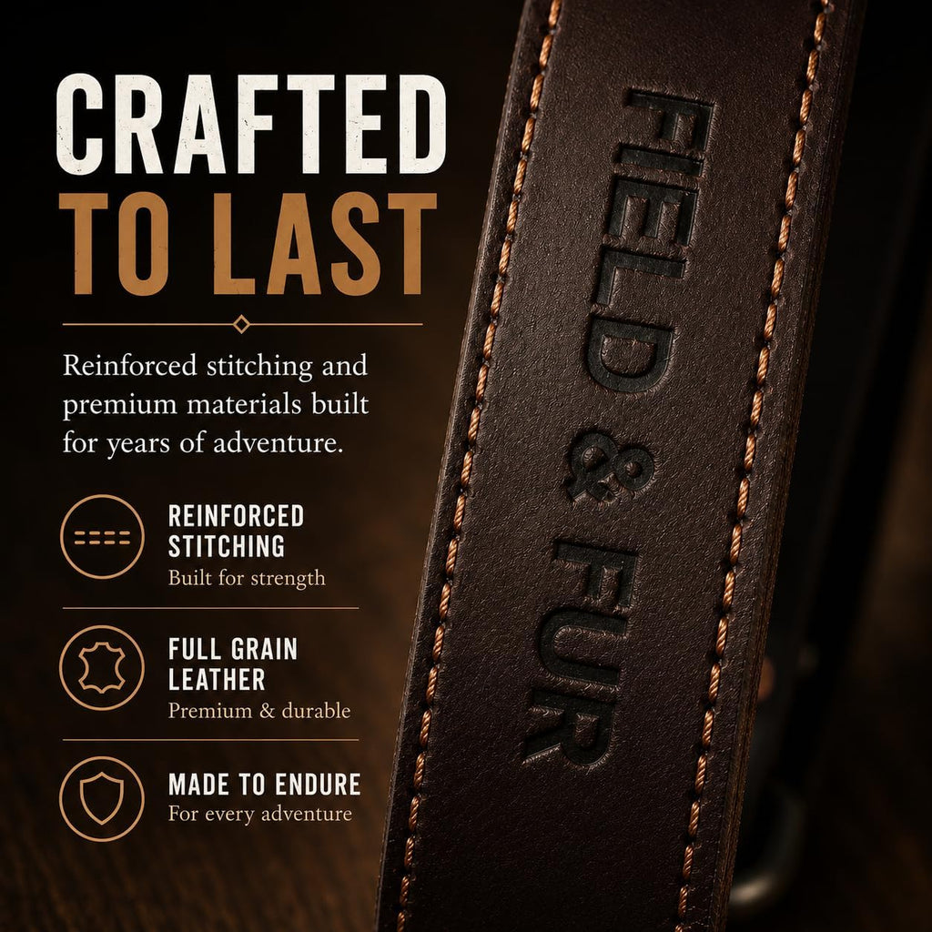 Full Grain Leather Dog Collar – Outdoor Dog Collar with Reinforced Stitching, Nickel Hardware, Adjustable Fit for