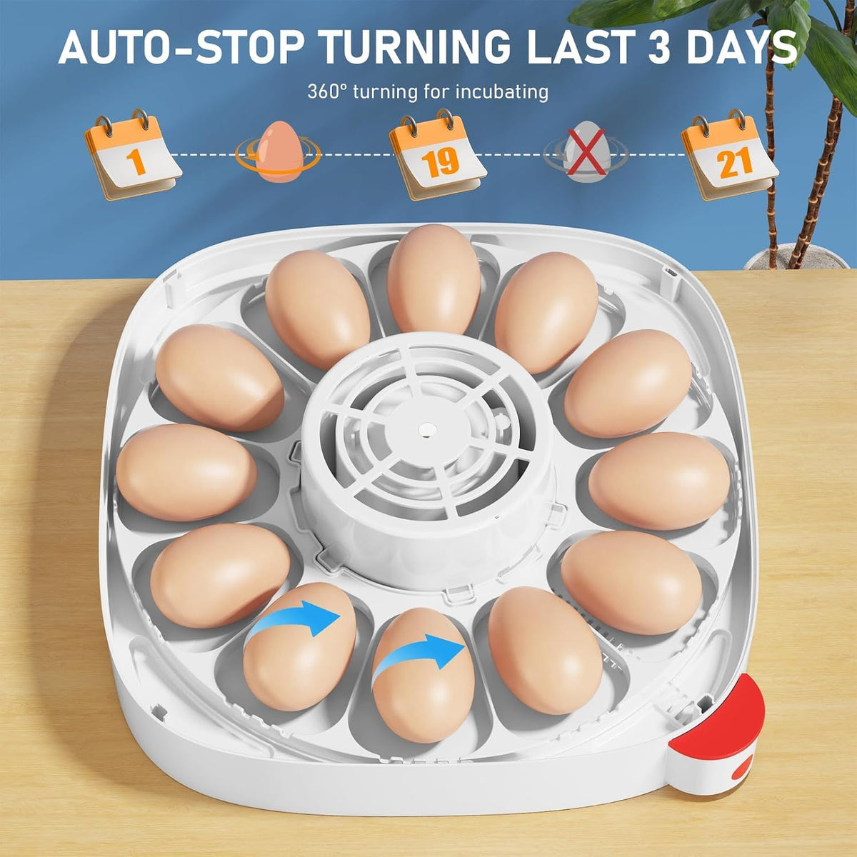 12 Eggs Incubator, 4 Modes, Temp Control & Humidity Display, Blue