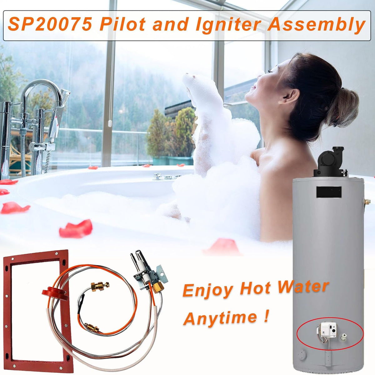 SP20075, SP20305A Pilot and Igniter Assembly Replacement Kit