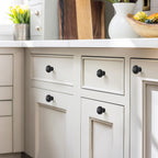 Matte Black Cabinet Knobs，10 Pack Solid Drawer Pulls for Dressers
