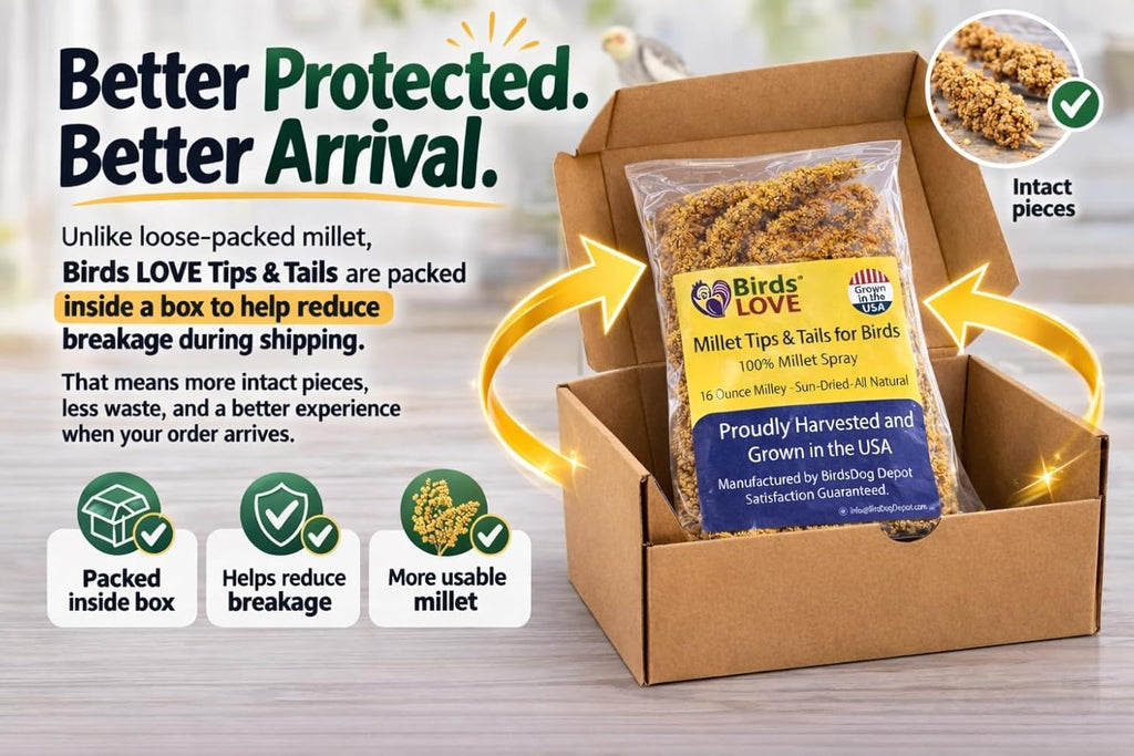 Millet Tips & Tails for Birds – Premium Spray Millet Treat, Grown in the USA – Natural & Healthy Bird Food for