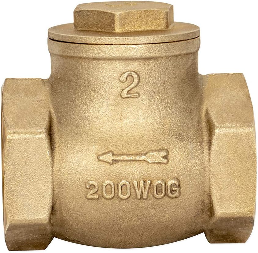 Eastman Brass Swing Check Valve, 2 Inch IPS, Brass Plumbing Fitting, 20431LF