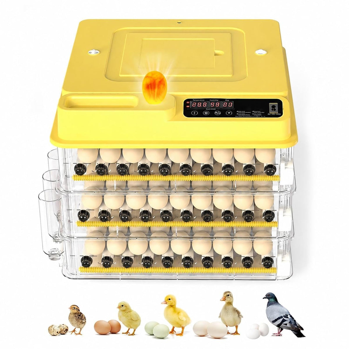 216 Egg Incubator for Hatching Eggs with Auto Turner, Temp Control, Candler