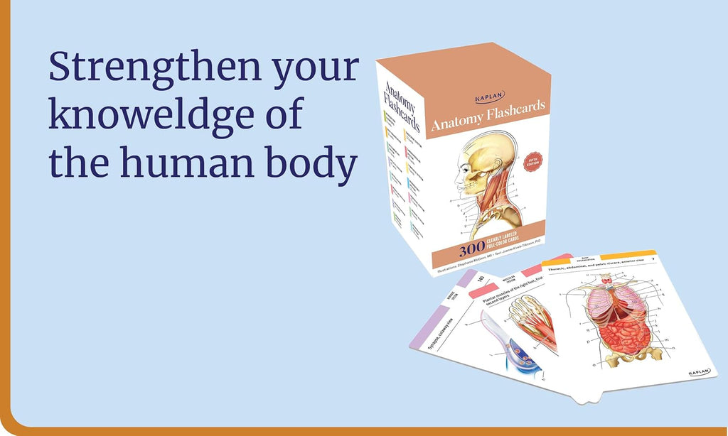 Anatomy Flashcards: 300 Flashcards with Anatomically Precise Drawings and Exhaustive Descriptions