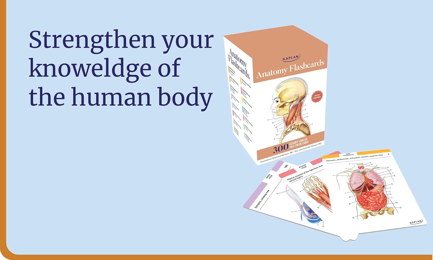Anatomy Flashcards: 300 Flashcards with Anatomically Precise Drawings and Exhaustive Descriptions