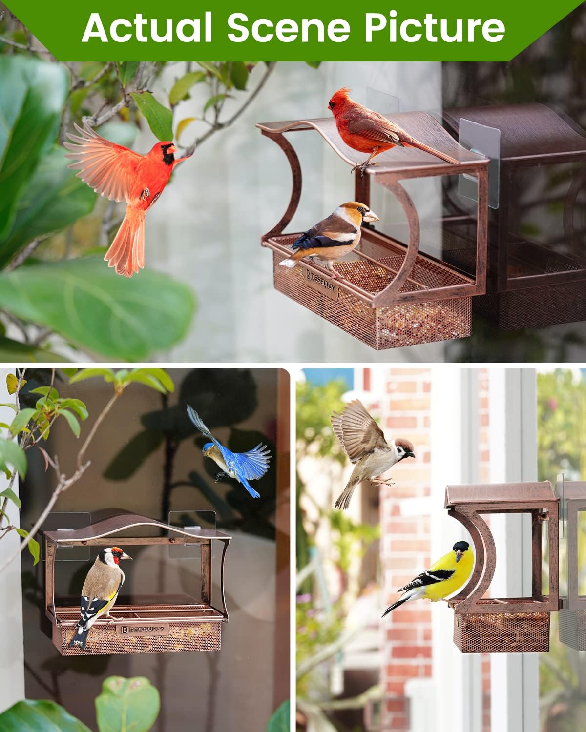 Window Bird Feeder with Strong Suction Cups, Metal Outdoor Gift - Curved