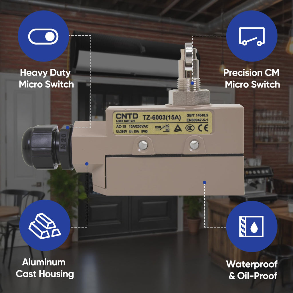 Liyufecor CNTD TZ-6003 15A Heavy Duty Micro Switch