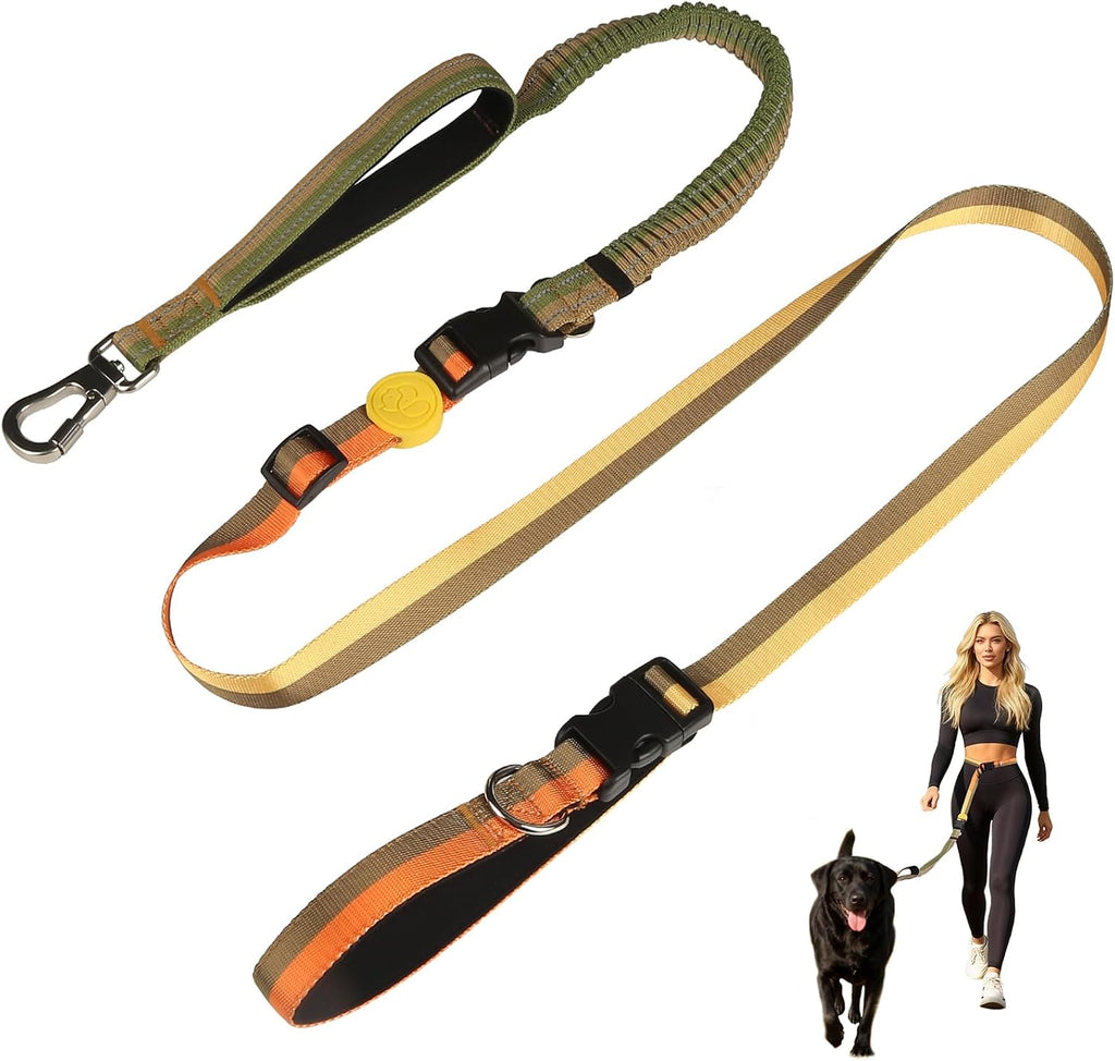 Hands-Free Dog Leash with Waist Belt for Running & Walking