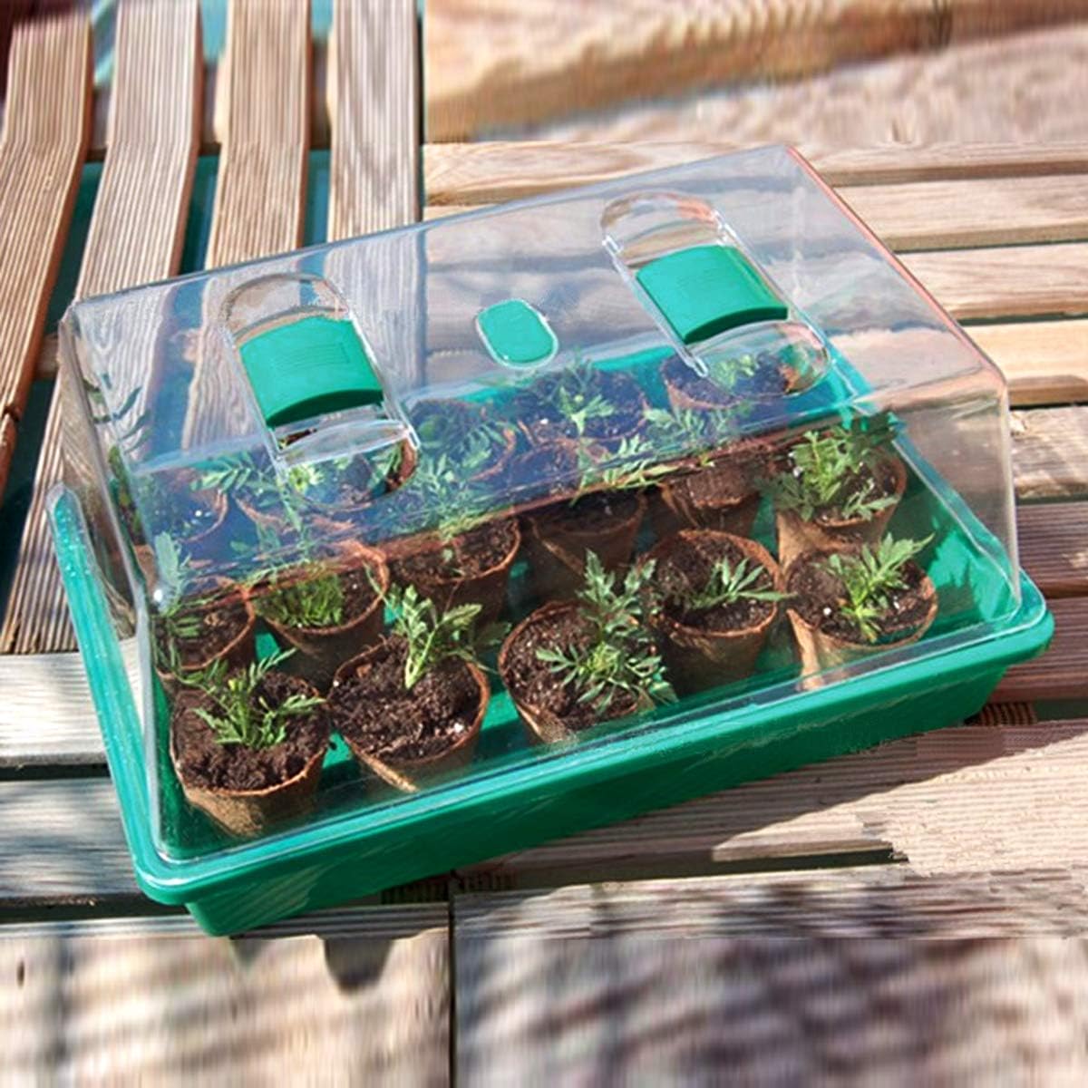 Propagator Tray with Vented Dome, Thick Mini Greenhouse for Seedlings | Large 15 in x 7.1 in Space, Reusable Sturdy