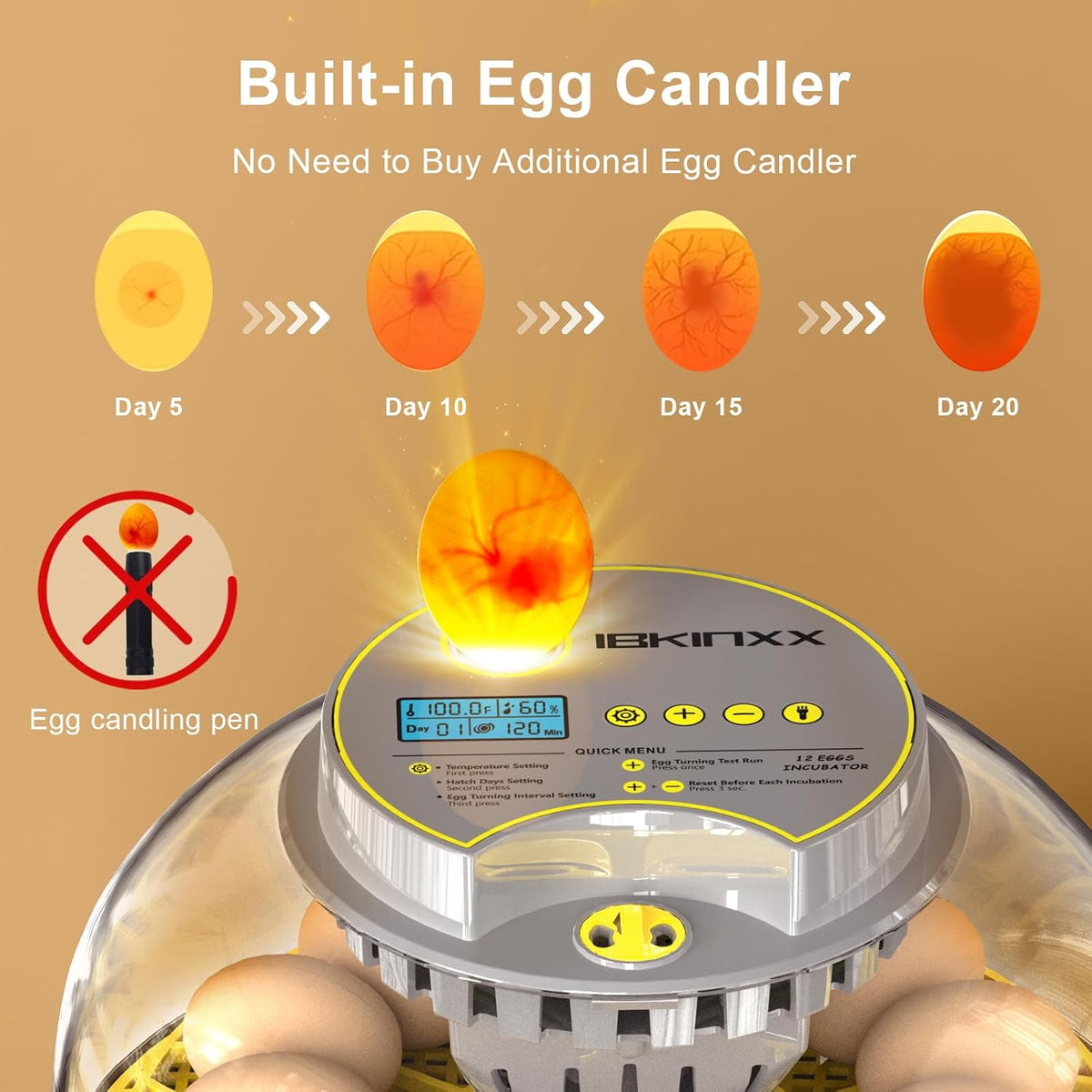 Incubator for Hatching Eggs - 12 Egg Capacity, 360° Viewing for Chicken
