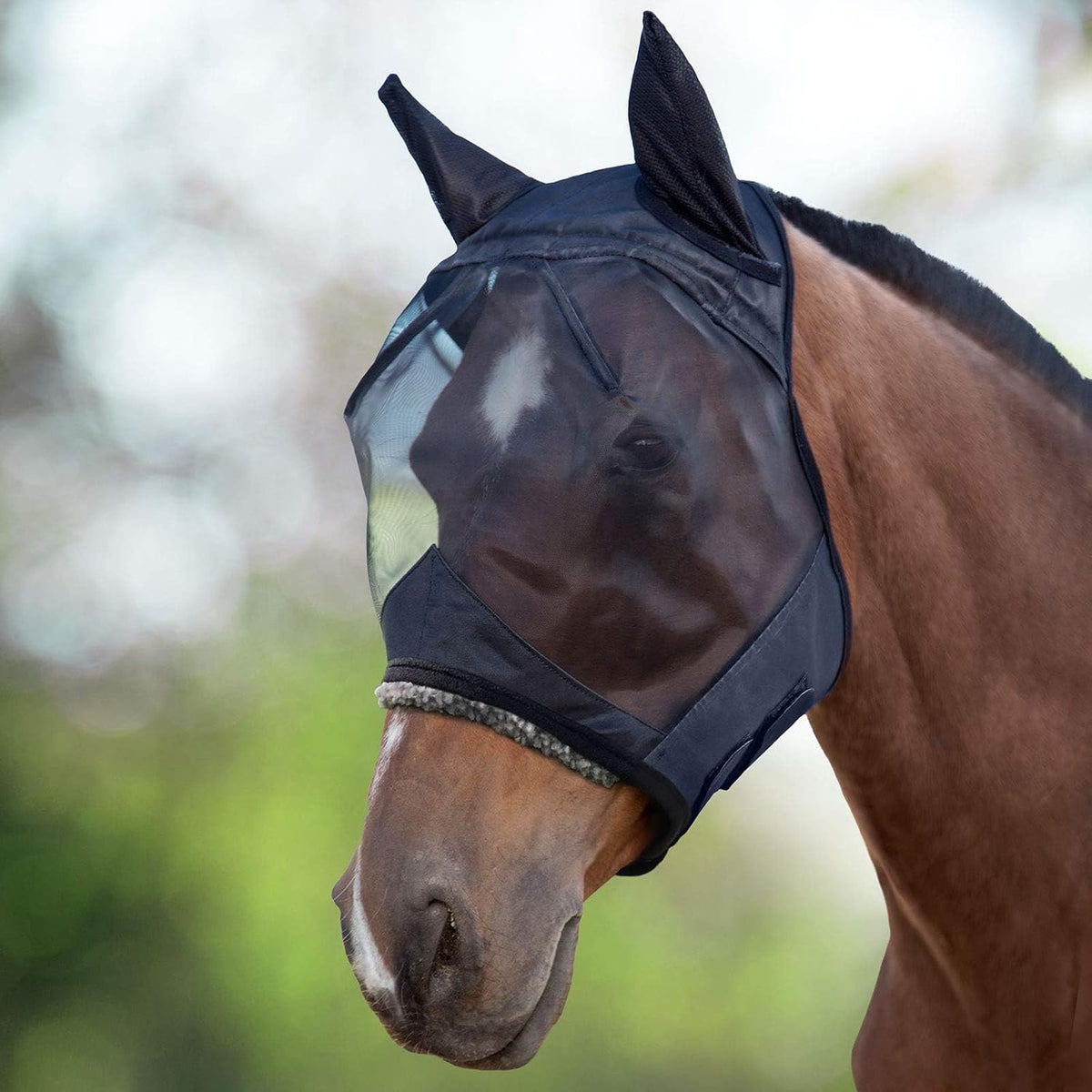 CareMaster Horse Fly Mask Large Eye Space Half Face with Ears Black Large Full Size