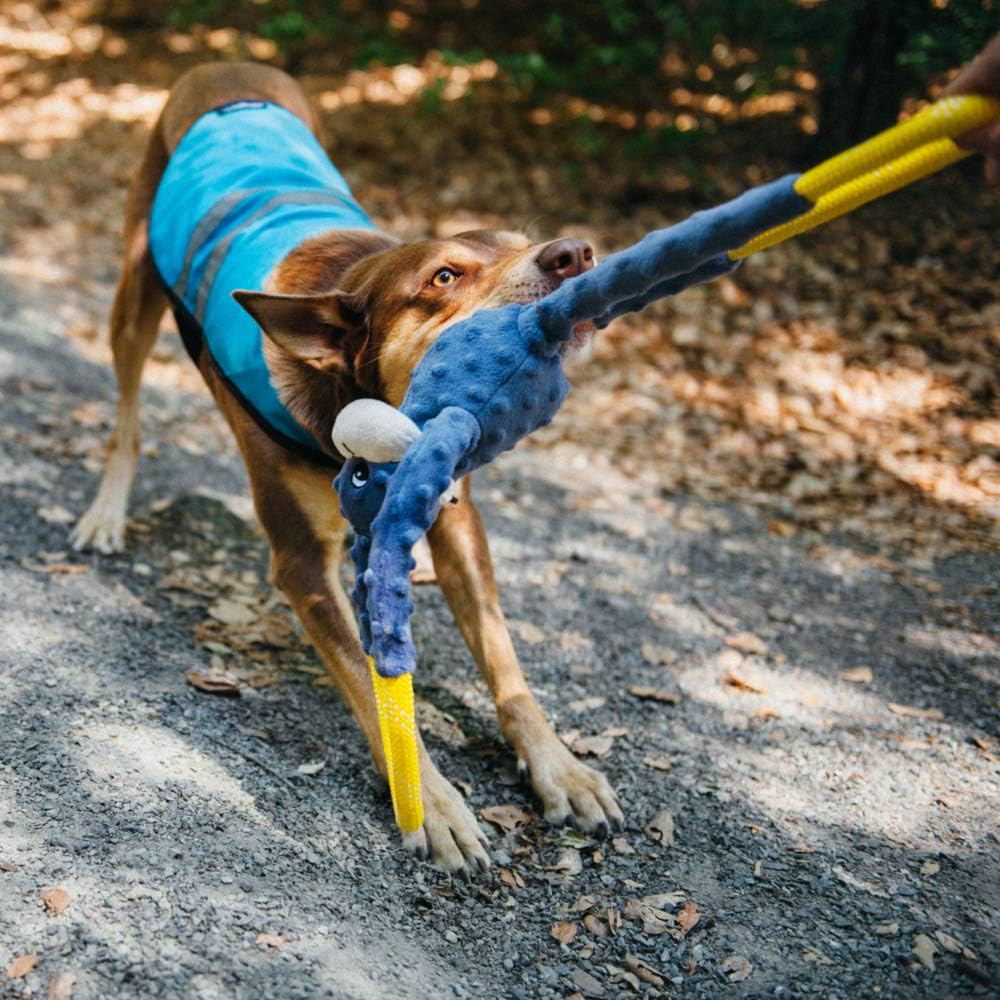 RopeTugz Durable Dog Pull Rope Toy - Blue Monkey