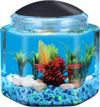1 Gallon Hex BettaTank - LED Lighting