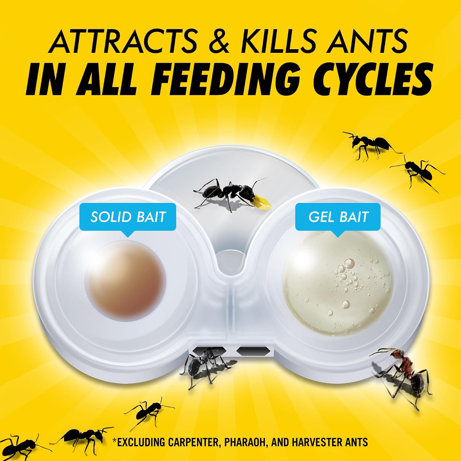 Max 2in1 Ant Bait Station, Indoor & Outdoor Use, 4 Count | Destroys entire ant colony, dual formula for sugar and