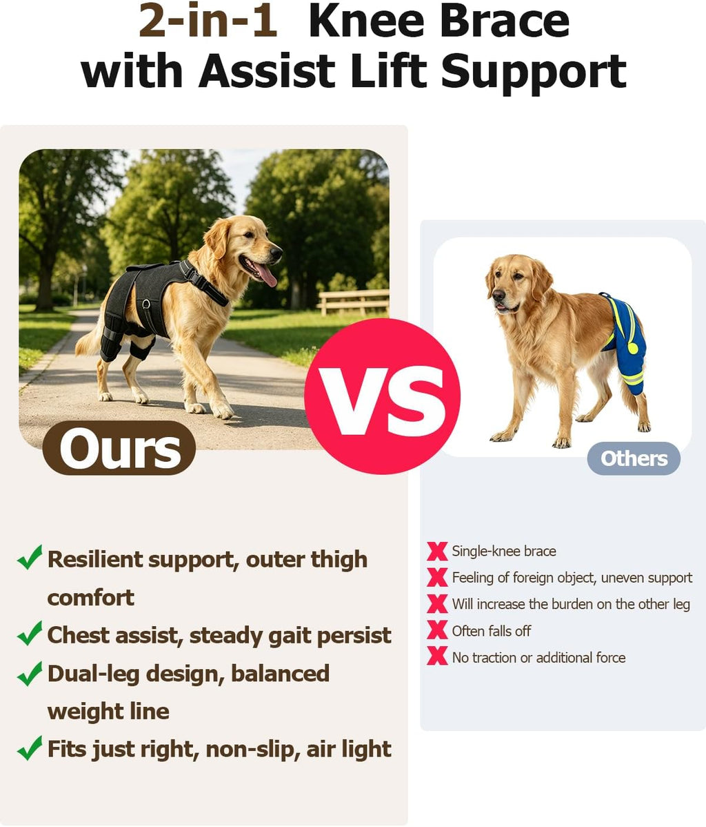 2-in-1 Dog Knee Brace and Lift Harness, Adjustable Back Leg Support with Stabilizers for ACL Recovery & Joint Care