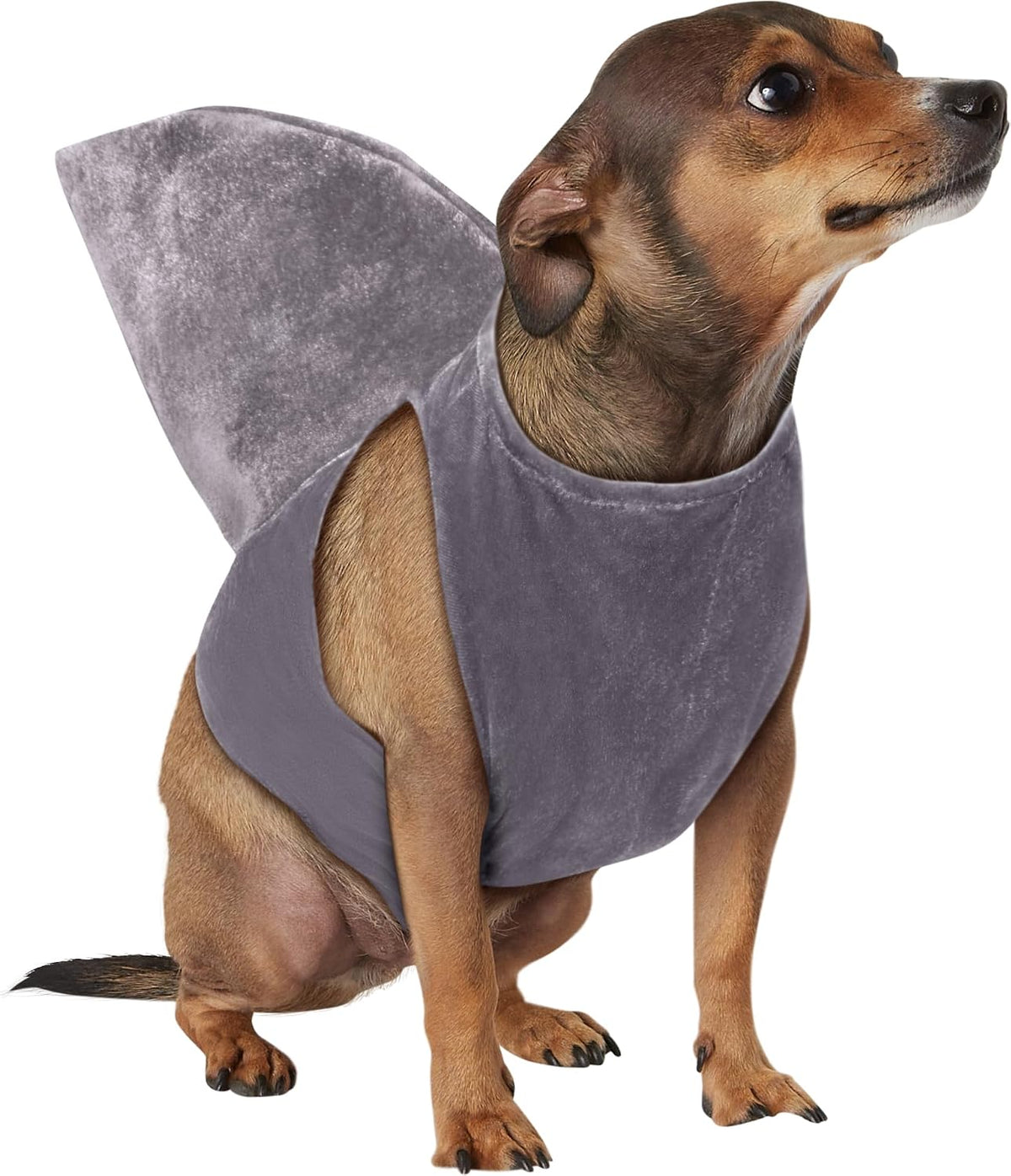 Shark Fin Pet Costume for Dogs or Cats, M/L