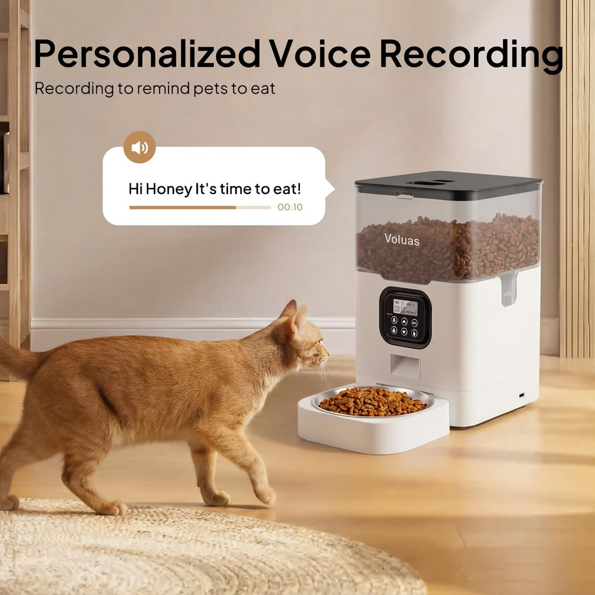 Automatic Cat Feeder, 4L Timed Dry Food Dispenser for Cats & Dogs