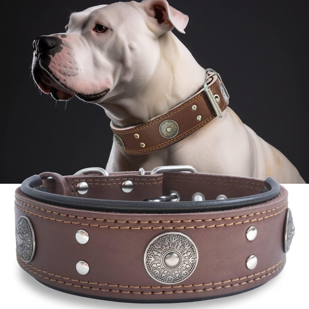 Genuine Leather Dog Collar for Large Dogs,2 in Wide Heavy Duty,BN-M