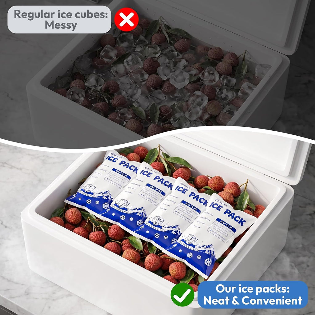 Dry Ice Packs for Shipping Long Lasting