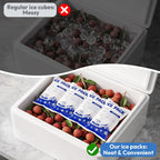 Dry Ice Packs for Shipping Long Lasting