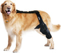 Dog Knee Brace for Torn ACL & Hind Leg Support – Adjustable Dog Hip & Leg Brace for Cruciate Ligament, Arthritis