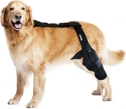 Dog Knee Brace for Torn ACL & Hind Leg Support – Adjustable Dog Hip & Leg Brace for Cruciate Ligament, Arthritis