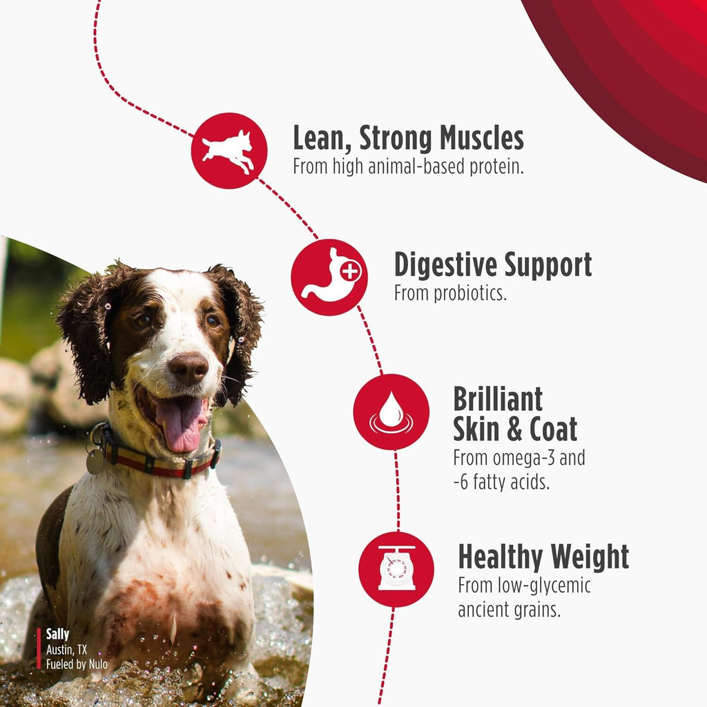Frontrunner Dry Dog Food - Adult High-Protein Beef, Barley & Lamb Recipe, Natural Kibble with Ancient Grains