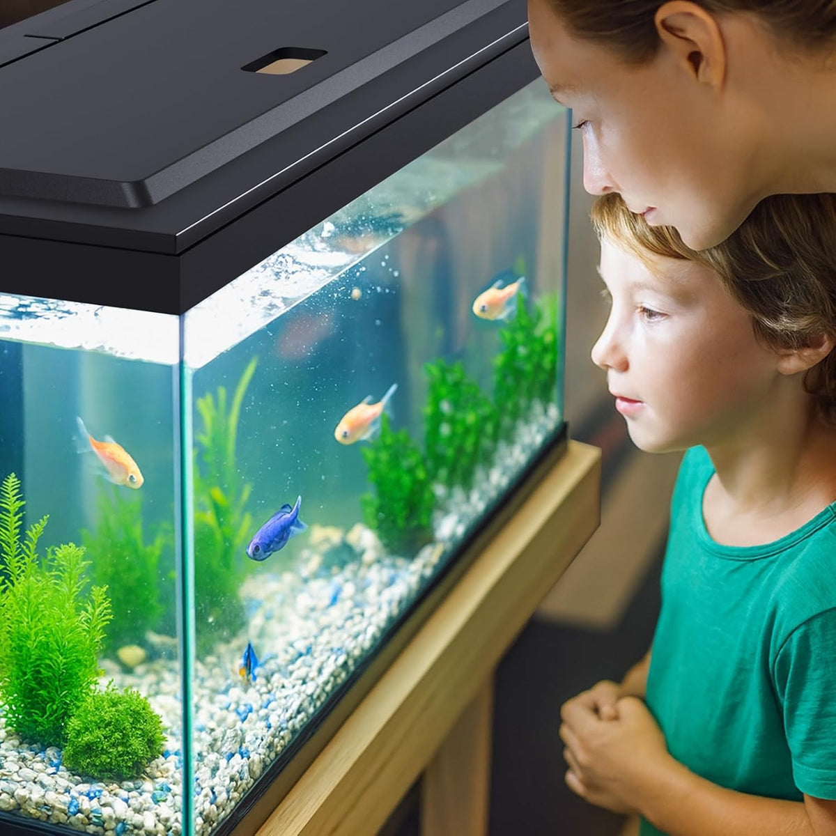 LED Aquarium Hood, White Lights, Fits 24" Framed Aquariums, Black
