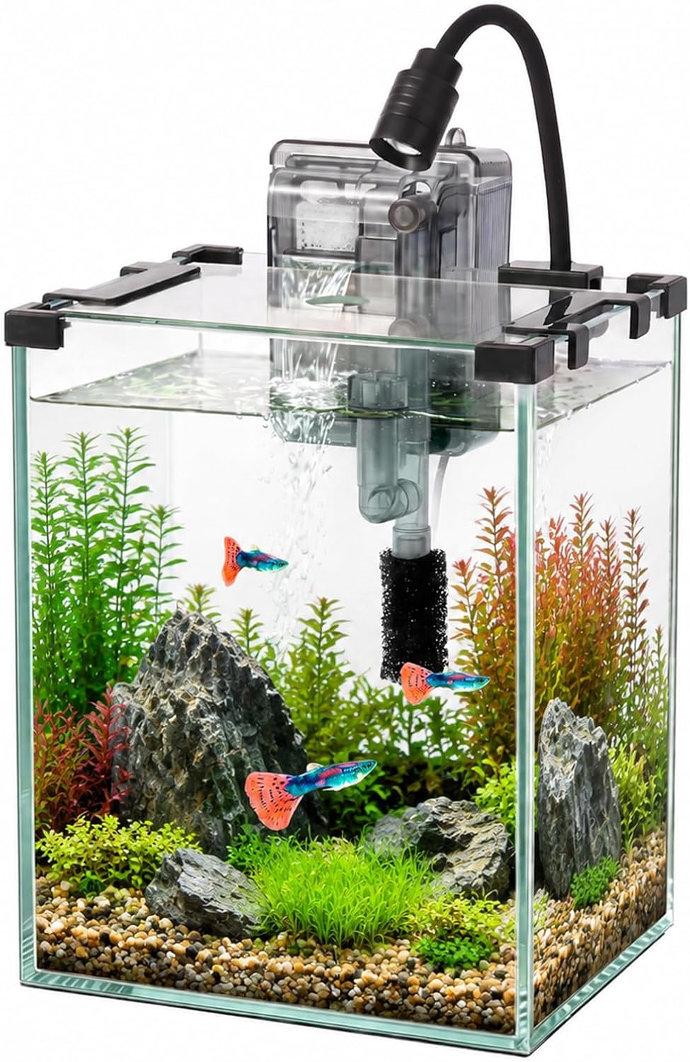 2.2 Gallon Small Glass Fish Tank Kit