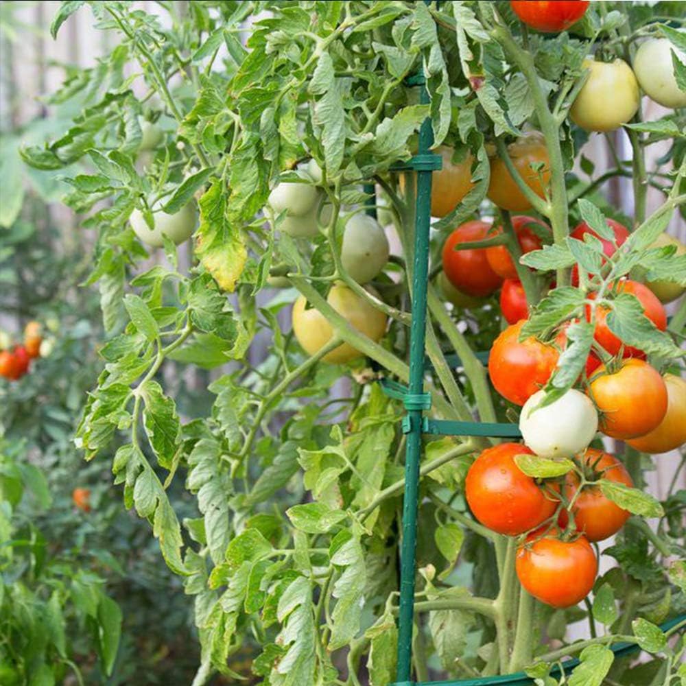 6ft 50 Pack Tomato Stakes Plant Stake Supports Garden Fences Trellis Metal Plastic Coated Plant Cage Supports Climbing