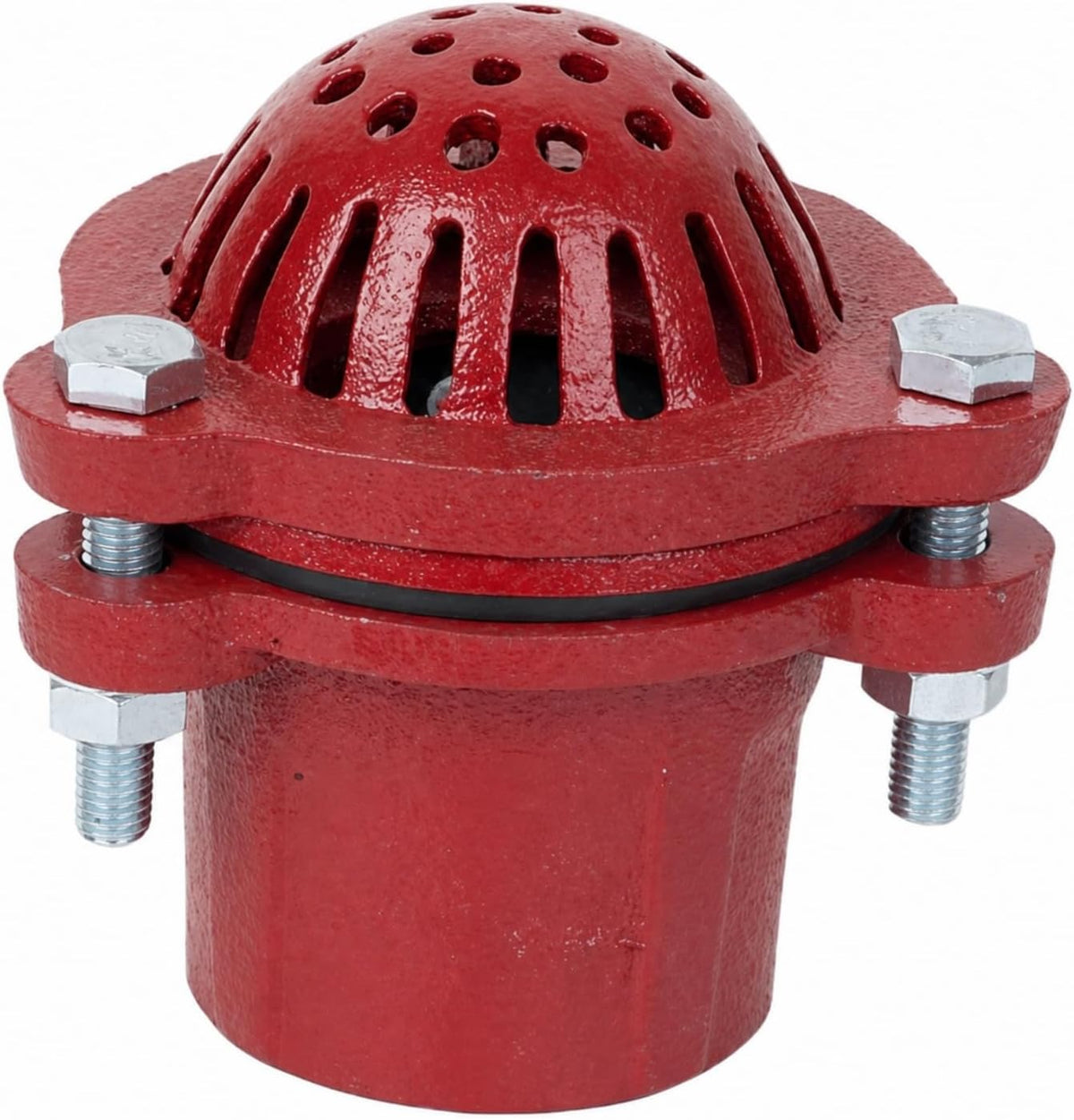 2 Inch Well Pump Foot Valve, Cast Iron NPT Check Valve with Strainer