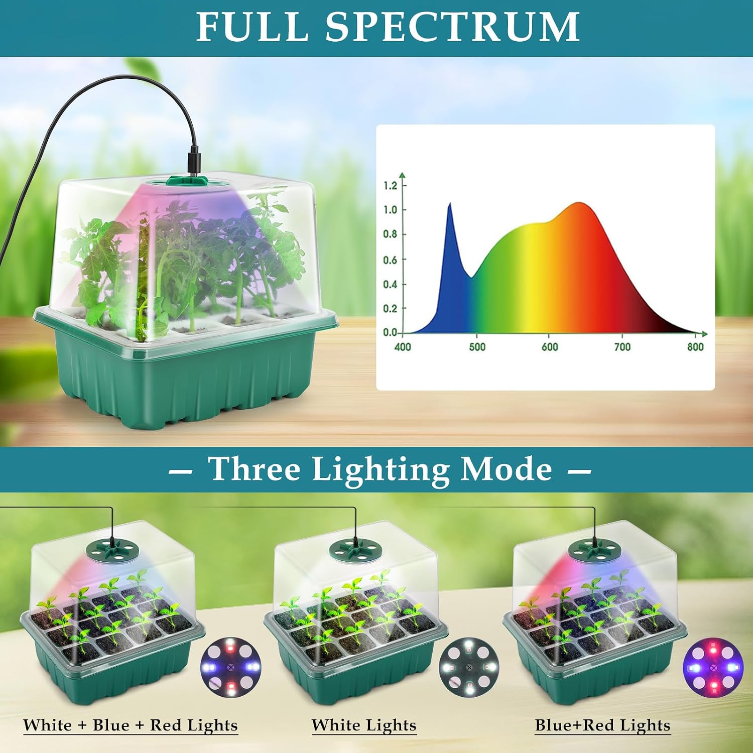 Seed Starter Tray with Grow Light, 60 Flexible Cells 5 PCS Seed Starter Kit, Reusable Seedling Starter Trays with