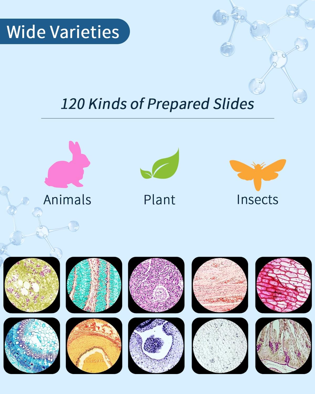 120-Pcs Microscope Slides with Specimens,Plant, Animal, Algae,etc,Educational Microscope Slides and Covers for Young