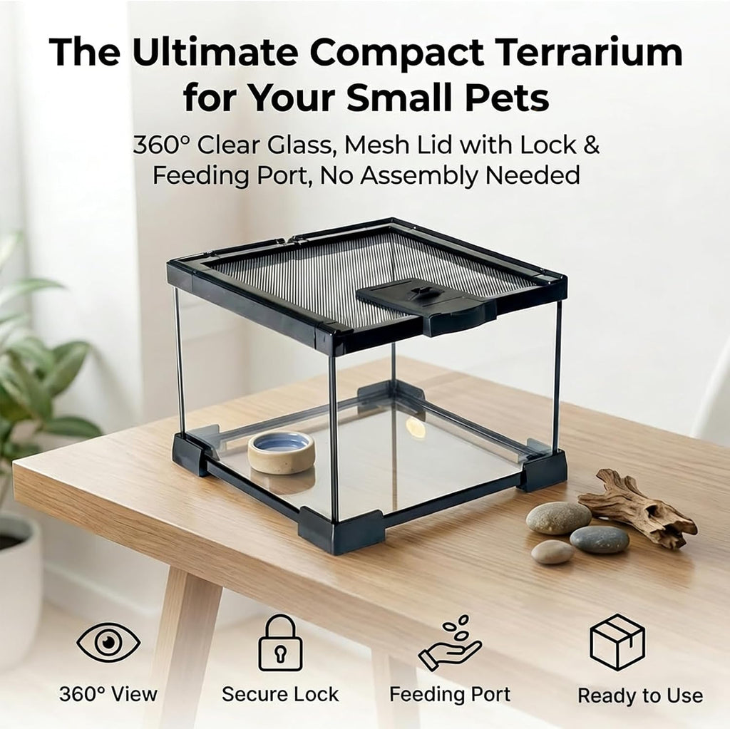 Small Glass Reptile Enclosure: 8x8x6 Full View Tarantula Enclosure | Lockable Sliding Screen Top Glass Terrarium