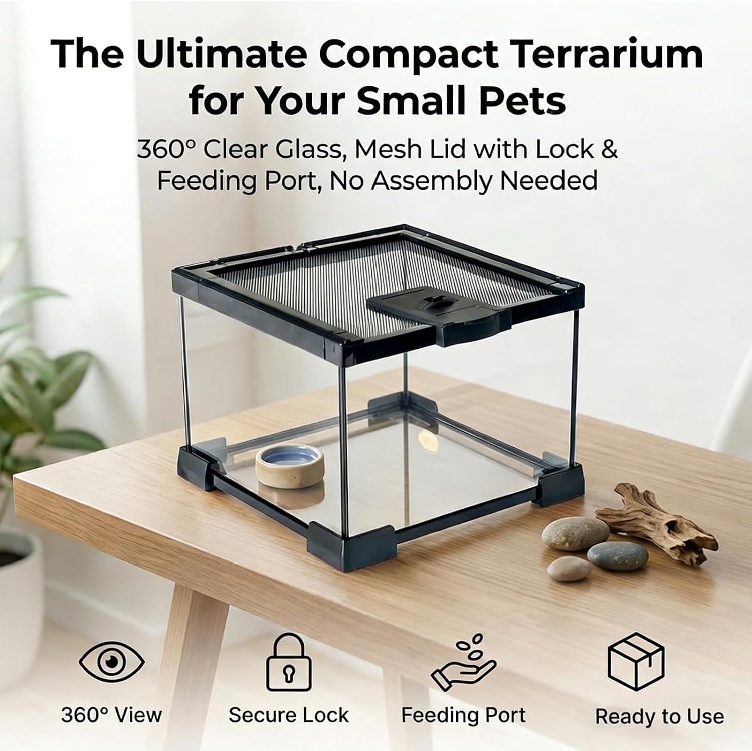 Small Glass Reptile Enclosure: 8x8x6 Full View Tarantula Enclosure | Lockable Sliding Screen Top Glass Terrarium