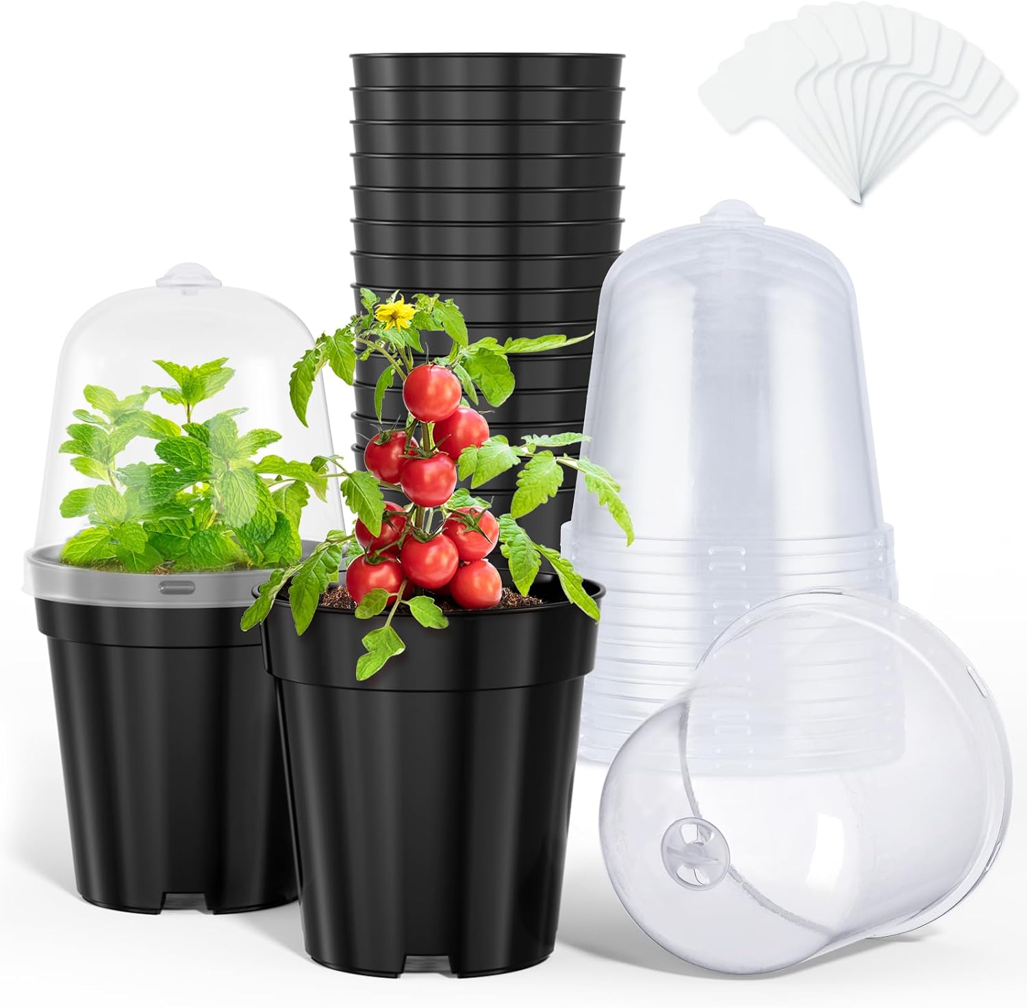 5 Inch Nursery Pots with Humidity Domes for Seed Starting (15 Pcs) | Drainage holes and raised bases improve airflow;