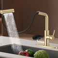 Pull Down Kitchen Faucet with Glass Rinser (Brushed Gold)