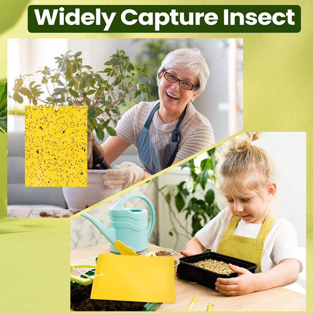 100 Pcs 6x8 Inch Yellow Sticky Traps for Gnats, Dual-Sided Sticky Gnat Traps for Indoor Outdoor Plants, Pest Control