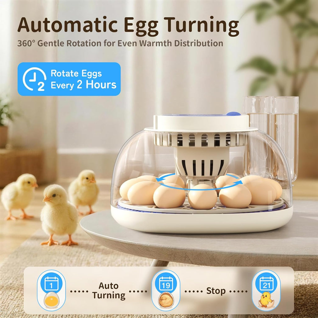 12 Egg Incubators for Hatching Eggs, Auto Turning, Temp & Humidity Control
