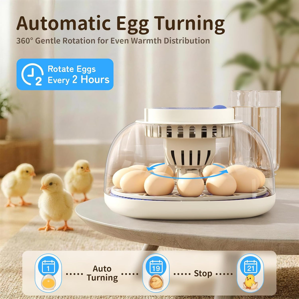 12 Egg Incubators for Hatching Eggs, Auto Turning, Temp & Humidity Control