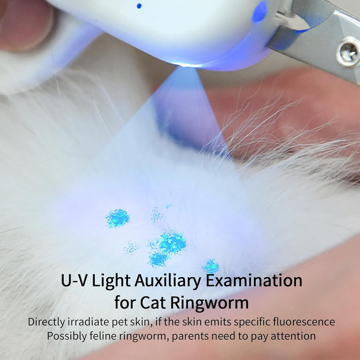 Cat Nail Clipper with LED Light, Safe & Precise for Cats & Kittens