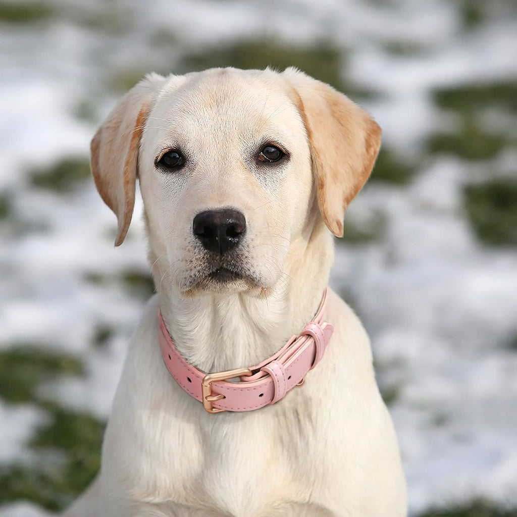 Leather Dog Collar for Small Medium Large Dog Adjustable Soft Breathable Leather Padded Puppy Collar with Alloy