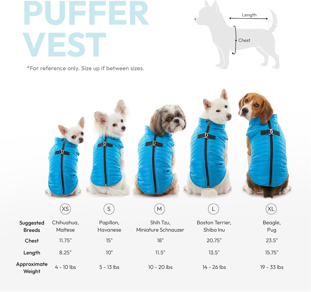 Puffer Vest Dog Jacket - Purple, Small - Ultra Thin Wind Breaker with Dual D Ring Leash - Water Resistant Small Dog