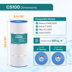CS100 Pool Filter Replaces Jandy CS100, R0462200