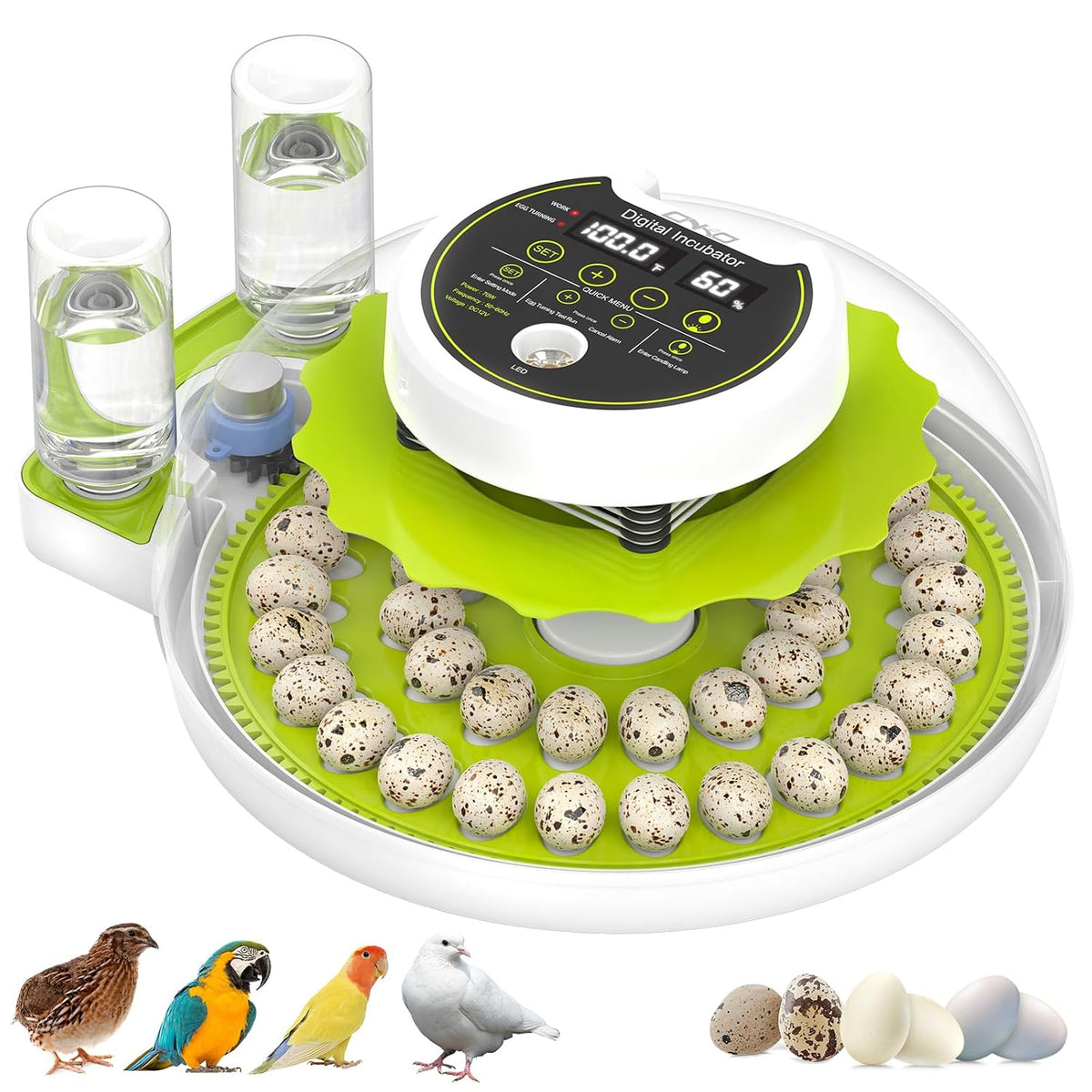 Quail Egg Incubator for Hatching 40 Quail Eggs with Automatic Turner