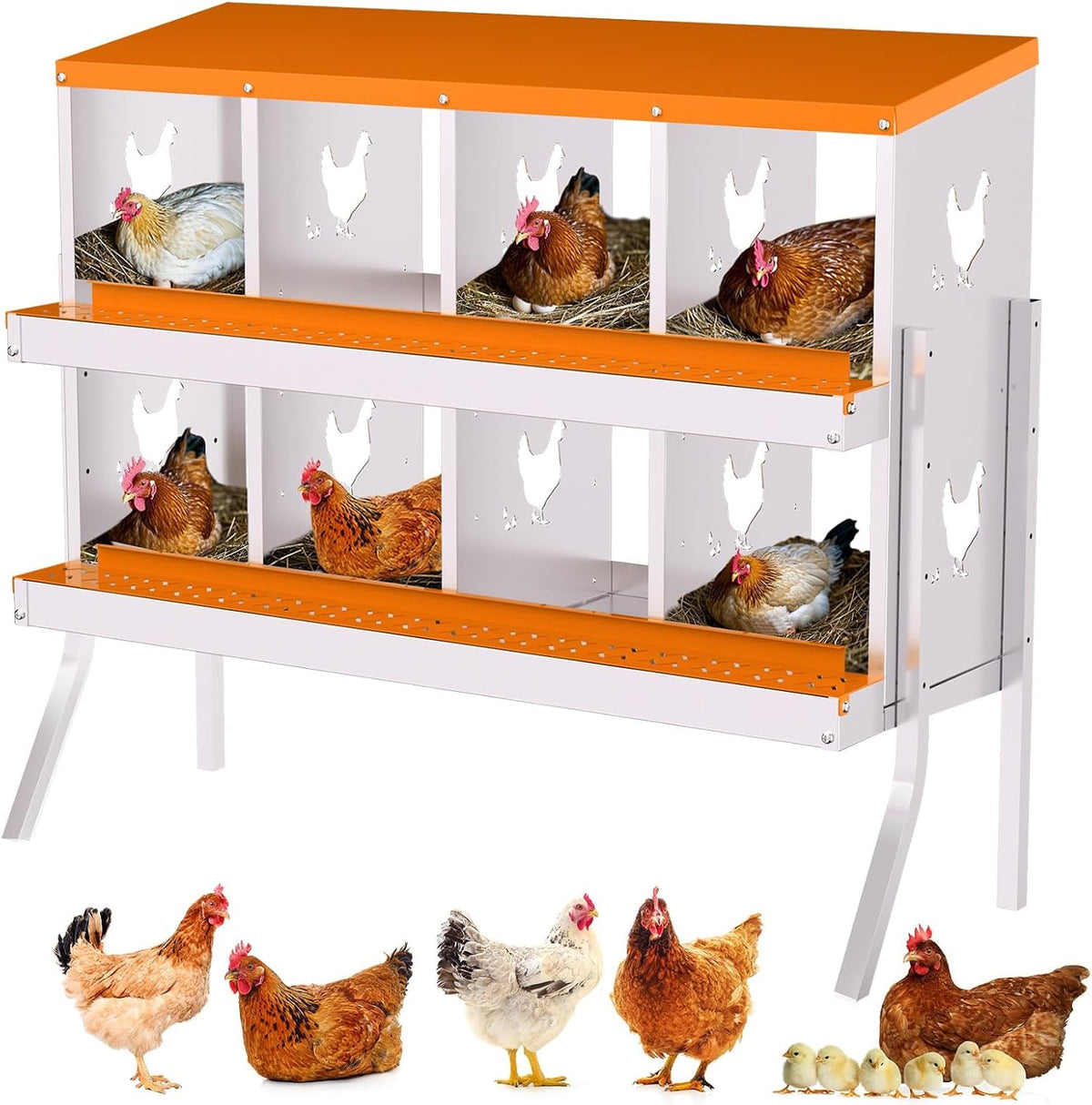 Chicken Nesting Box, 8 Compartment Nesting Boxes for Chickens, Easy to Clean and Install, Chicken Laying Boxes for
