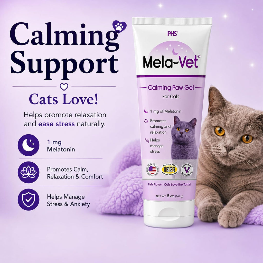 Calming Paw Gel for Cats, 5 oz | Melatonin & L-Theanine Cat Calming Supplement | Fish Flavor Stress Relief Gel for